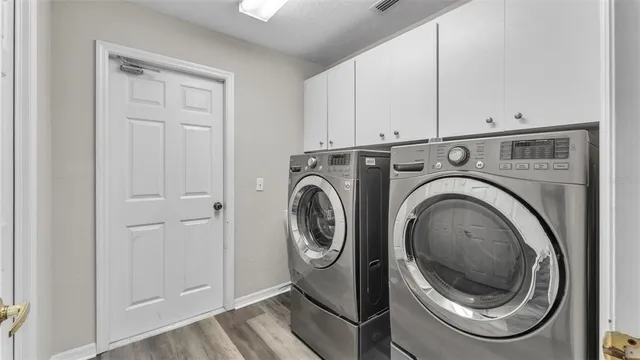 a view of a forest with a street