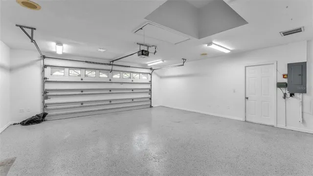 a view of a yard with plants