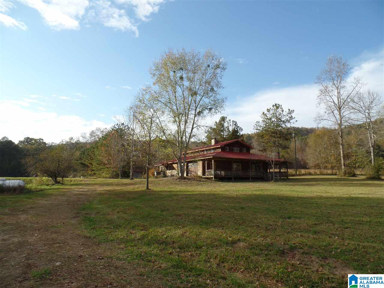 295 Horsley Road Ashville, AL 35953 - Photo 10 of 20