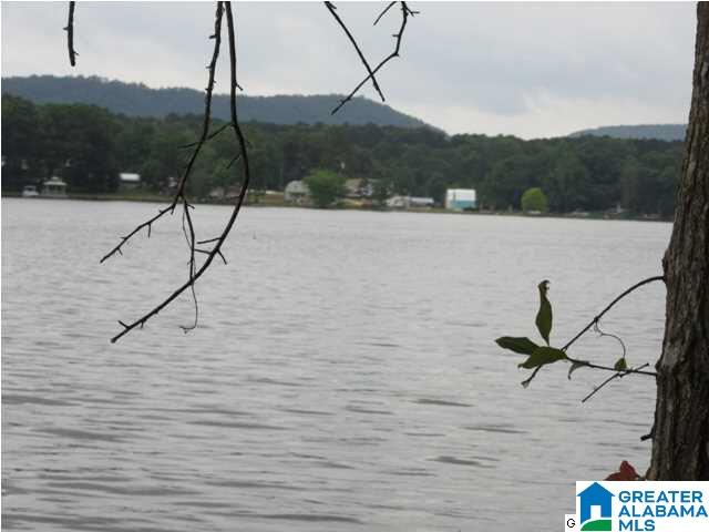 0 Timber Trail, Unit LOT 29 Sylacauga, AL 35151 - Photo 2 of 25