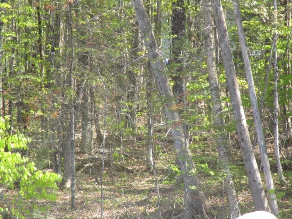 M2-l30 Morrill Pond Road Hartland, ME 04943 - Photo 10 of 21 Photo