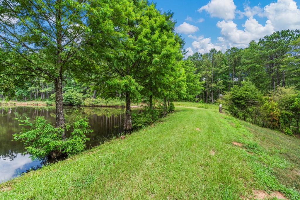 877 McKee Road Waverly Hall, GA 31831 - Photo 53 of 71 Gallery Image 53
