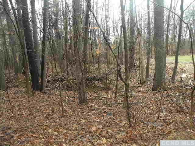 238 Bethel Ridge Road Catskill, NY 12414 - Photo 3 of 10 a view of forest