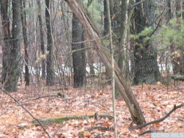 238 Bethel Ridge Road Catskill, NY 12414 - Photo 4 of 10 a backyard of a house with lots of green space