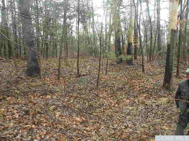 238 Bethel Ridge Road Catskill, NY 12414 - Photo 6 of 10 a view of a forest with trees in the background