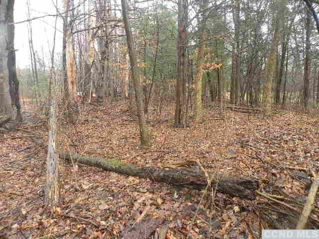 238 Bethel Ridge Road Catskill, NY 12414 - Photo 7 of 10 a view of a forest with trees