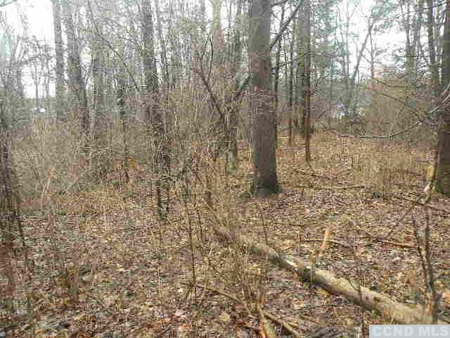 238 Bethel Ridge Road Catskill, NY 12414 - Photo 8 of 10