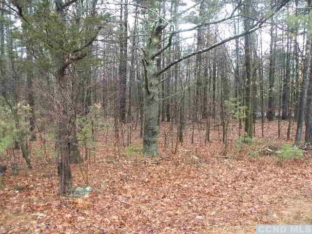 238 Bethel Ridge Road Catskill, NY 12414 - Photo 9 of 10 a backyard of a house with lots of green space