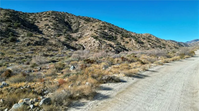 a view of a large mountain with lots of trees in the background