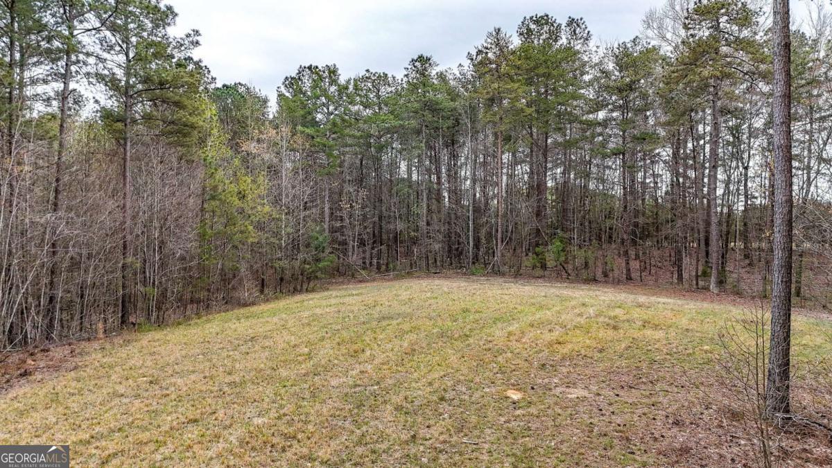 0 Felton Rockmart Road Buchanan, GA 30113 - Photo 28 of 47