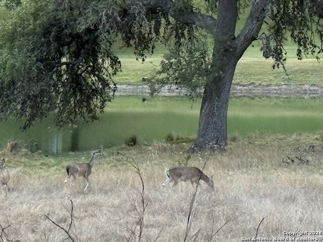 a view of a lake view
