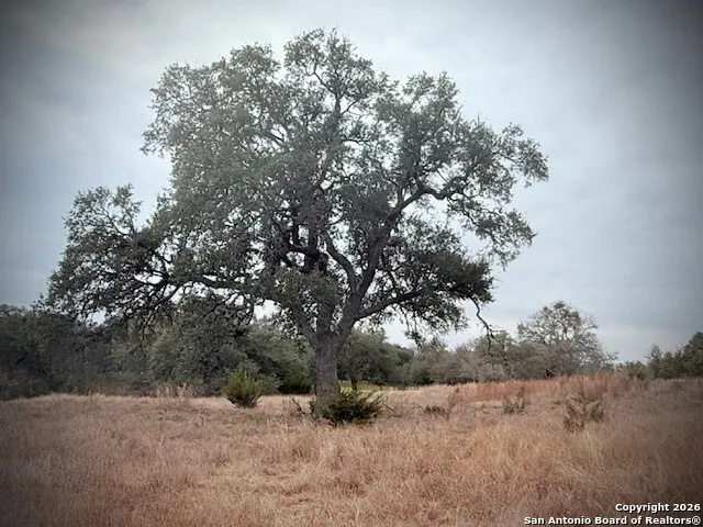 a view of lake from yard