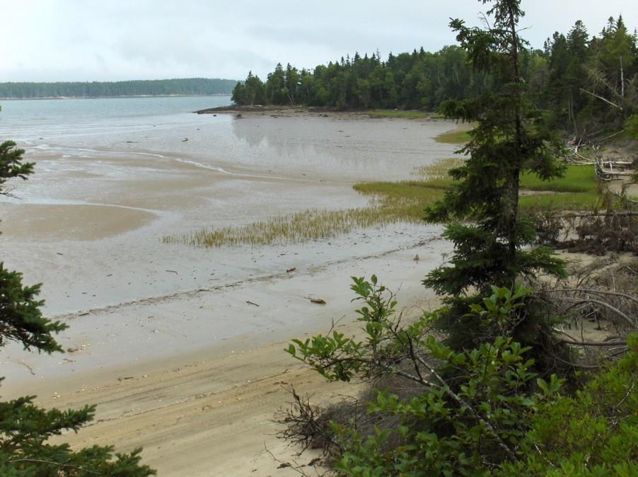 Lot 80 Ficketts Point Road Milbridge, ME 04658 - Photo 1 of 3 Photo