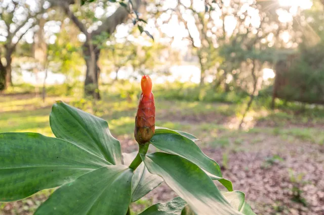 $145,000 | 219 North Cooper Lake Drive, Interlachen, FL 32148