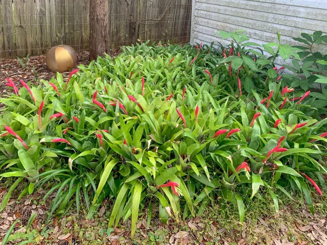 $145,000 | 219 North Cooper Lake Drive, Interlachen, FL 32148