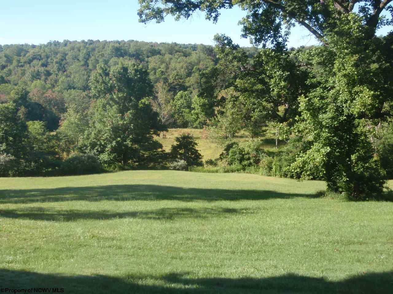 890 Guseman School Road Albright, WV 26519 - Photo 15 of 18 Gallery Image 15