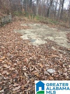 81 Poplar Lane Warrior, AL 35180 - Photo 1 of 12