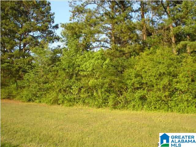 8317 Rouse Road North Warrior, AL 35180 - Photo 1 of 3