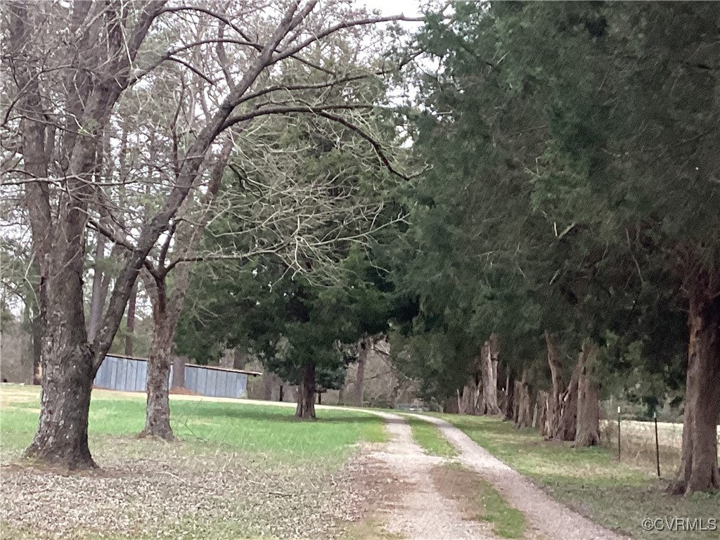 9801 Halifax Road Petersburg, VA 23805 - Photo 3 of 10 Picturesque driveway with cedar and other trees li