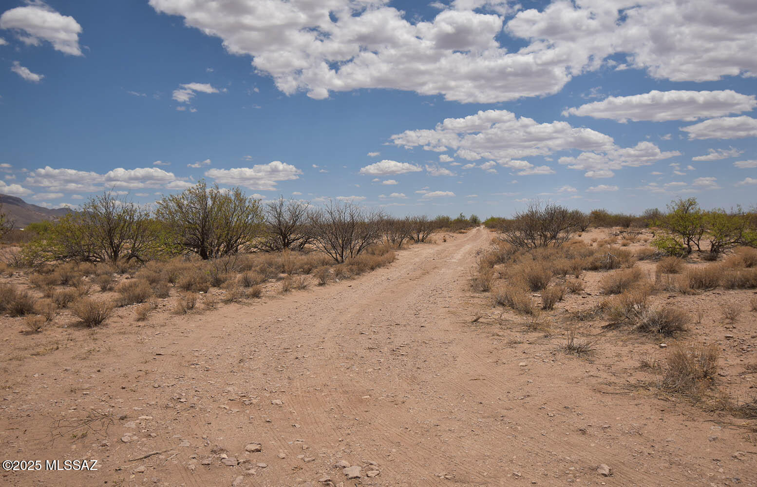 2.7-ac West Austin Henely Road, Unit 706 Elfrida, AZ 85610 - Photo 15 of 17