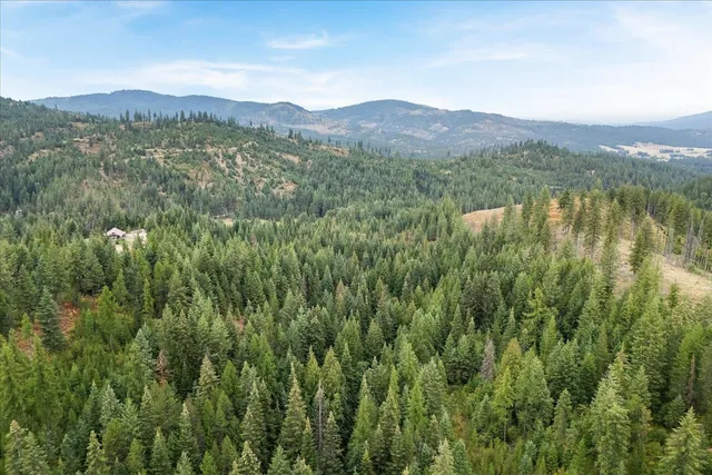 $125,000 | Nka Blanchard North Blanchard Creek Road, Newport, WA 99156