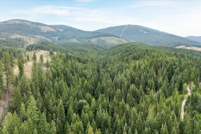 $125,000 | Nka Blanchard North Blanchard Creek Road, Newport, WA 99156