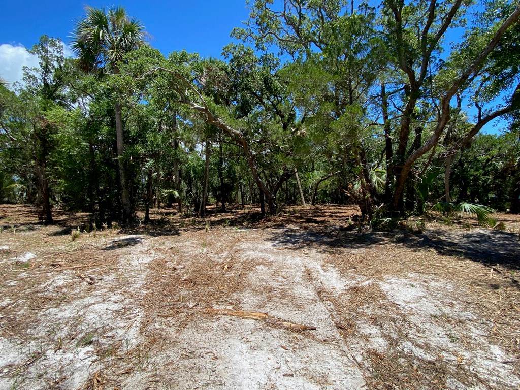 Tbd3 Indian Pass Road Port St. Joe, FL 32456 - Photo 3 of 22