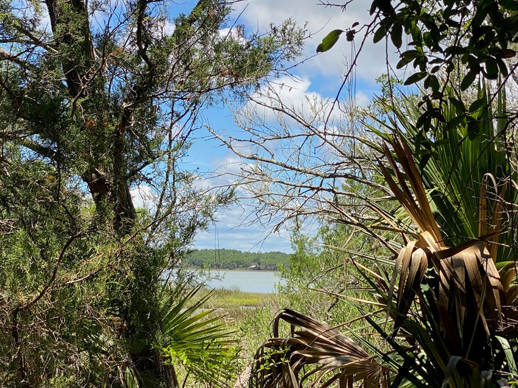 Tbd3 Indian Pass Road Port St. Joe, FL 32456 - Photo 7 of 22