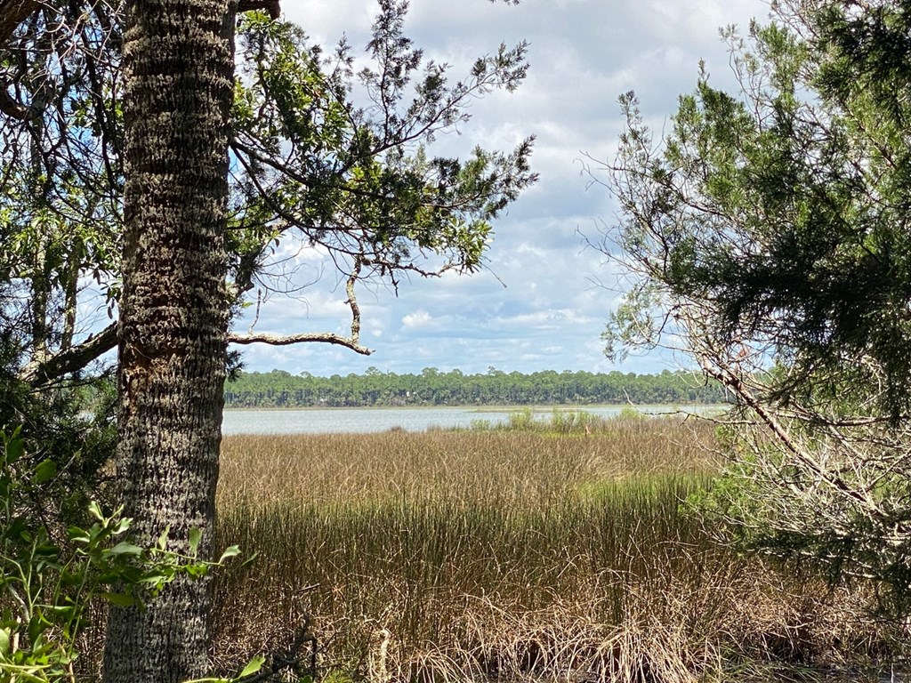Tbd3 Indian Pass Road Port St. Joe, FL 32456 - Photo 9 of 22