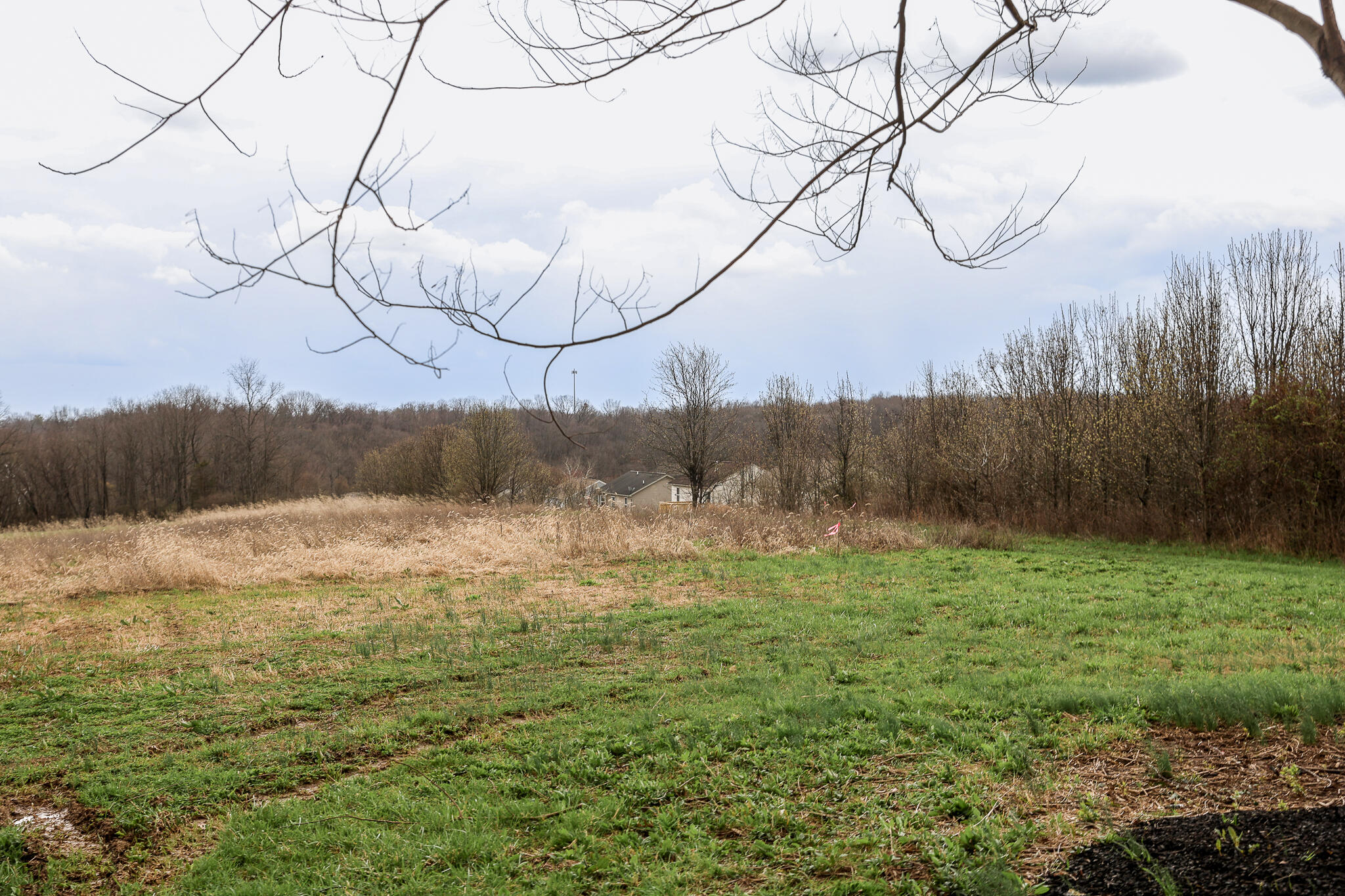 5220 Cody Road Independence, KY 41051 - Photo 22 of 32