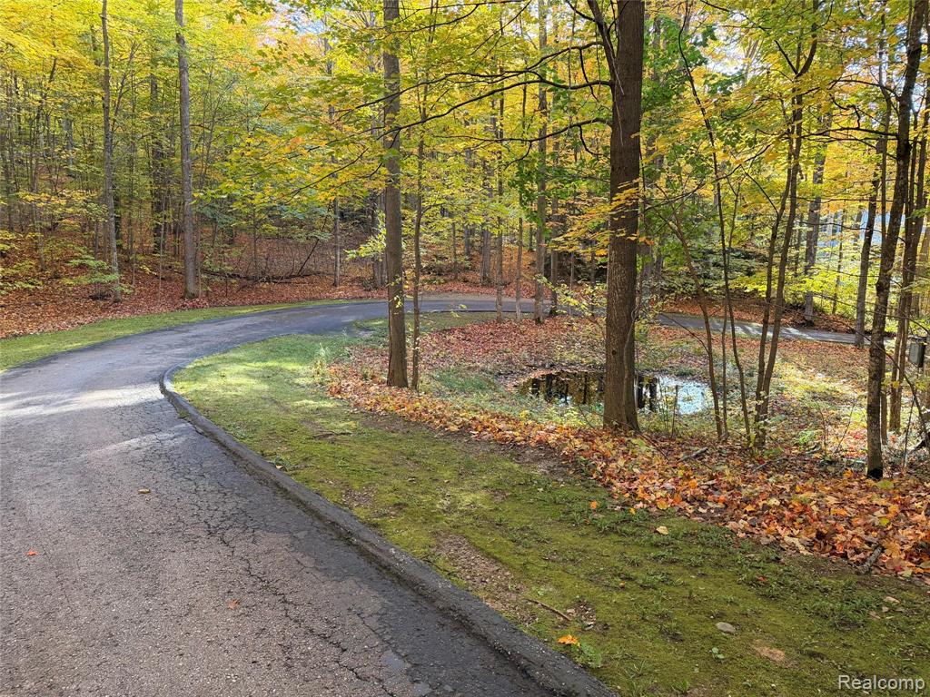 6788 East Hoxie Road Cedar, MI 49621 - Photo 16 of 78