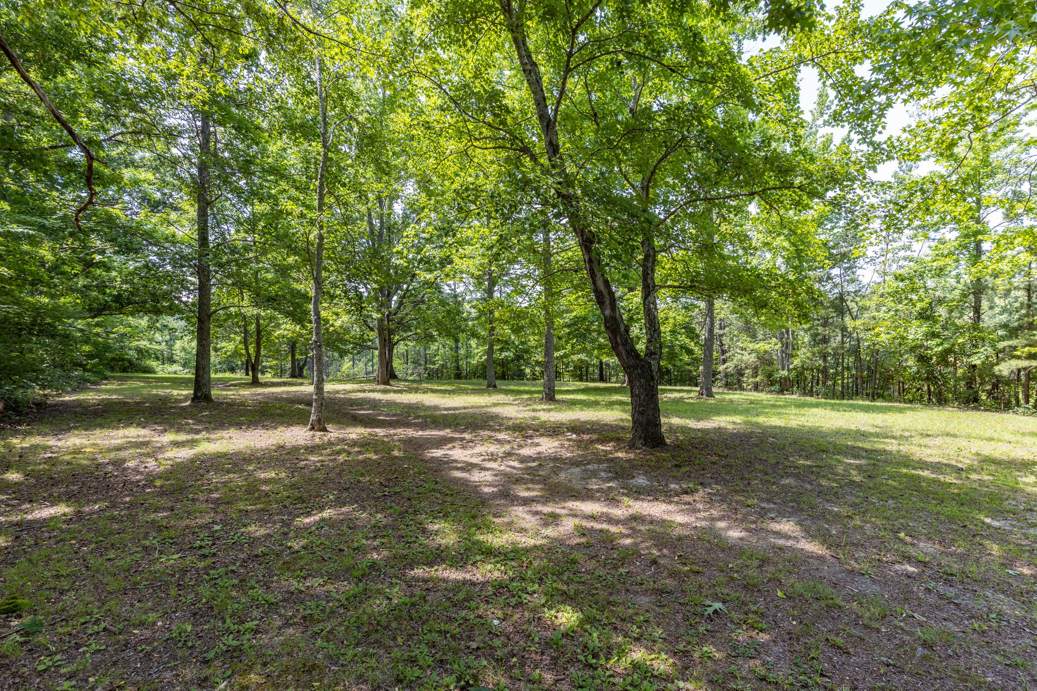 424 Charles McClearen Road Hohenwald, TN 38462 - Photo 44 of 80