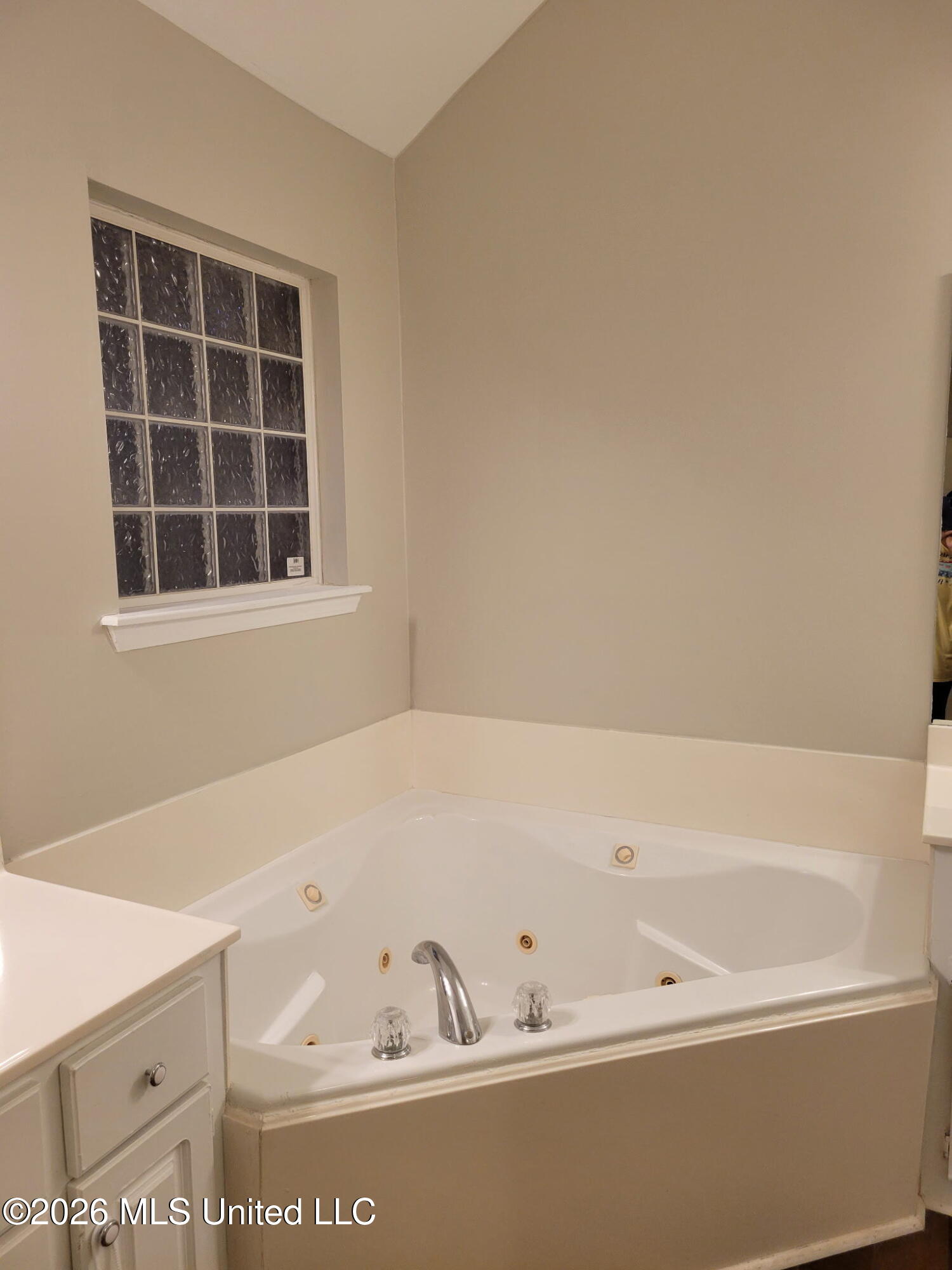 213 Austin Circle Byram, MS 39272 - Photo 8 of 18 1000013487