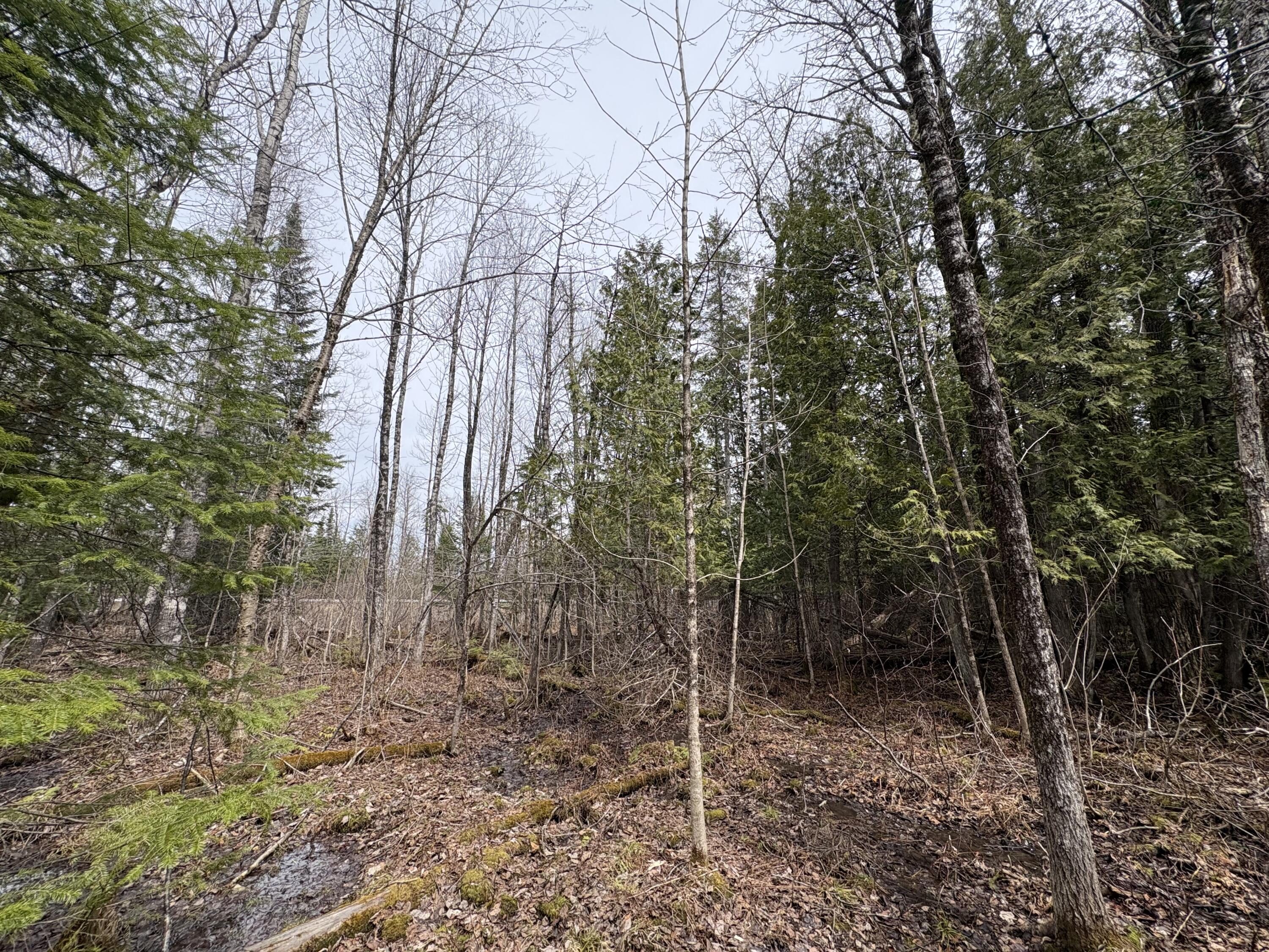16 D Presque Isle Road Ashland, ME 04732 - Photo 1 of 9 IMG_0839