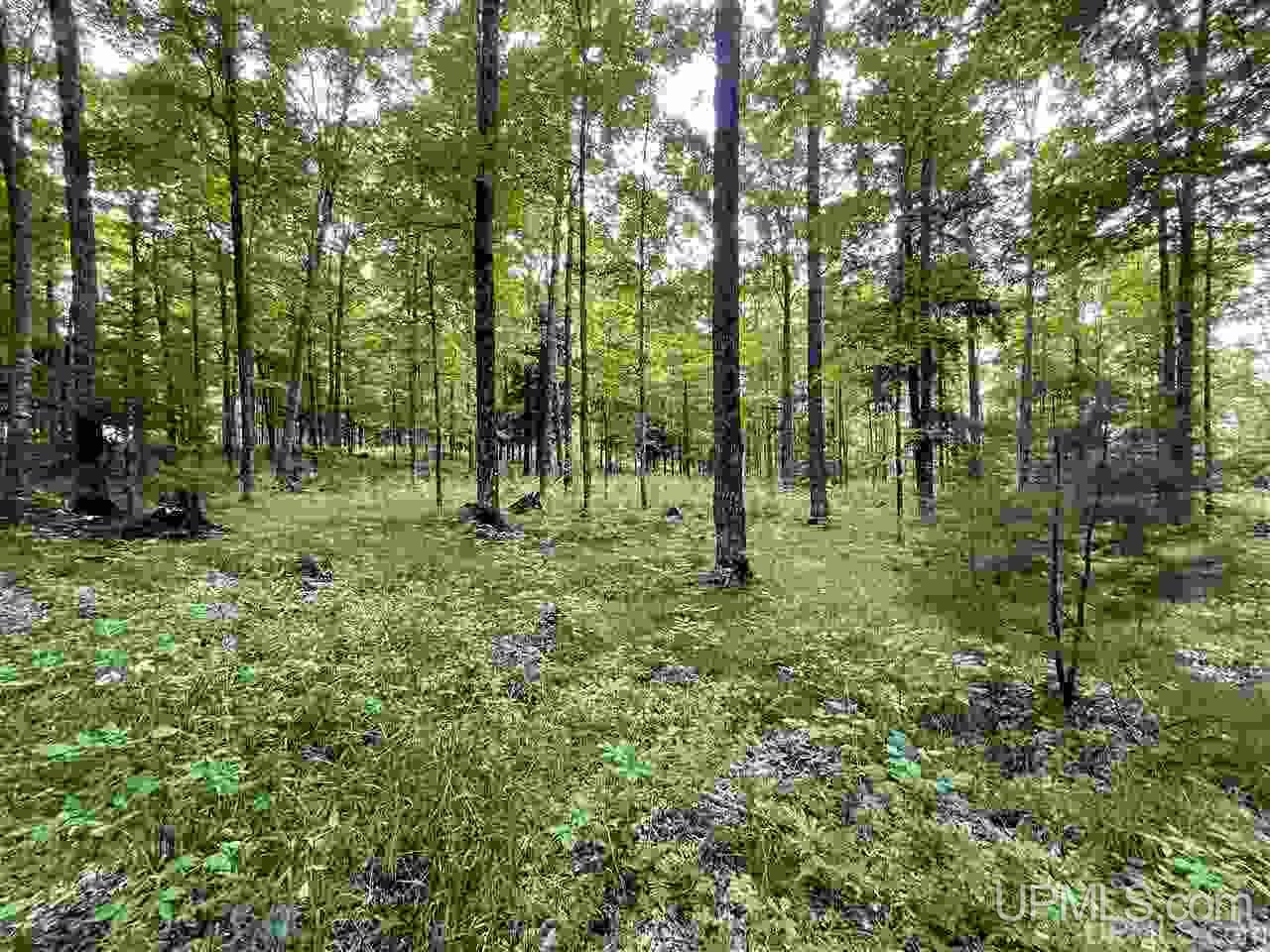 Tbd Sand Road, Unit 2 Powers, MI 49874 - Photo 25 of 38