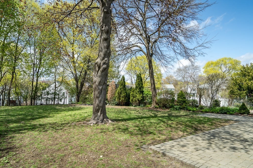6 Regent Road Belmont, MA 02478 - Photo 26 of 29 a view of a park with large trees