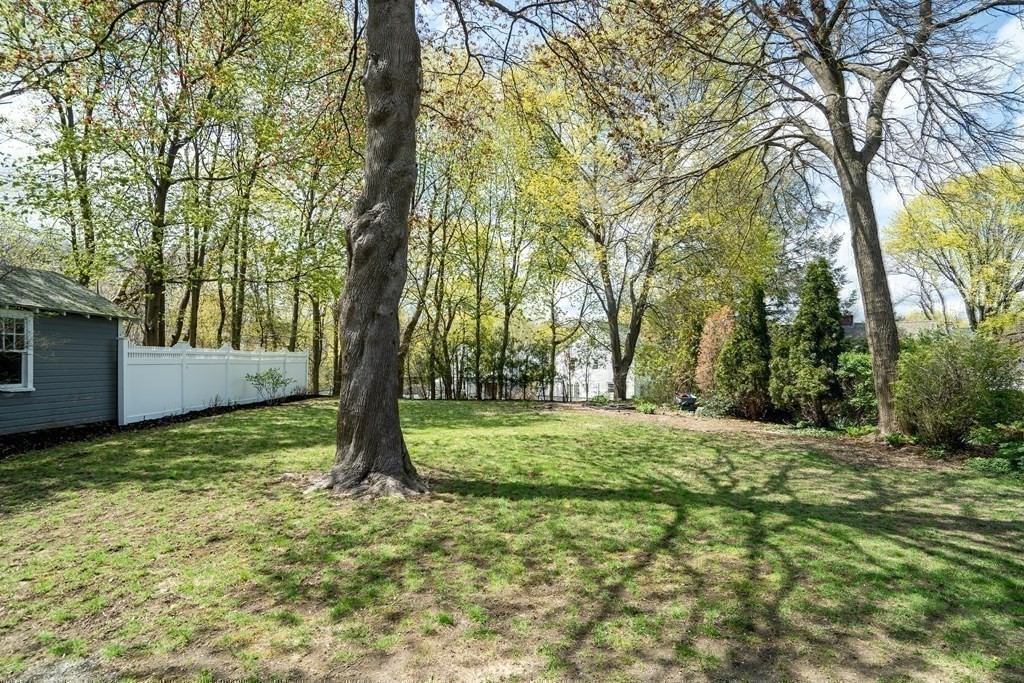 6 Regent Road Belmont, MA 02478 - Photo 27 of 29 a view of outdoor space with trees