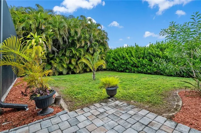a view of a backyard with plants and large trees