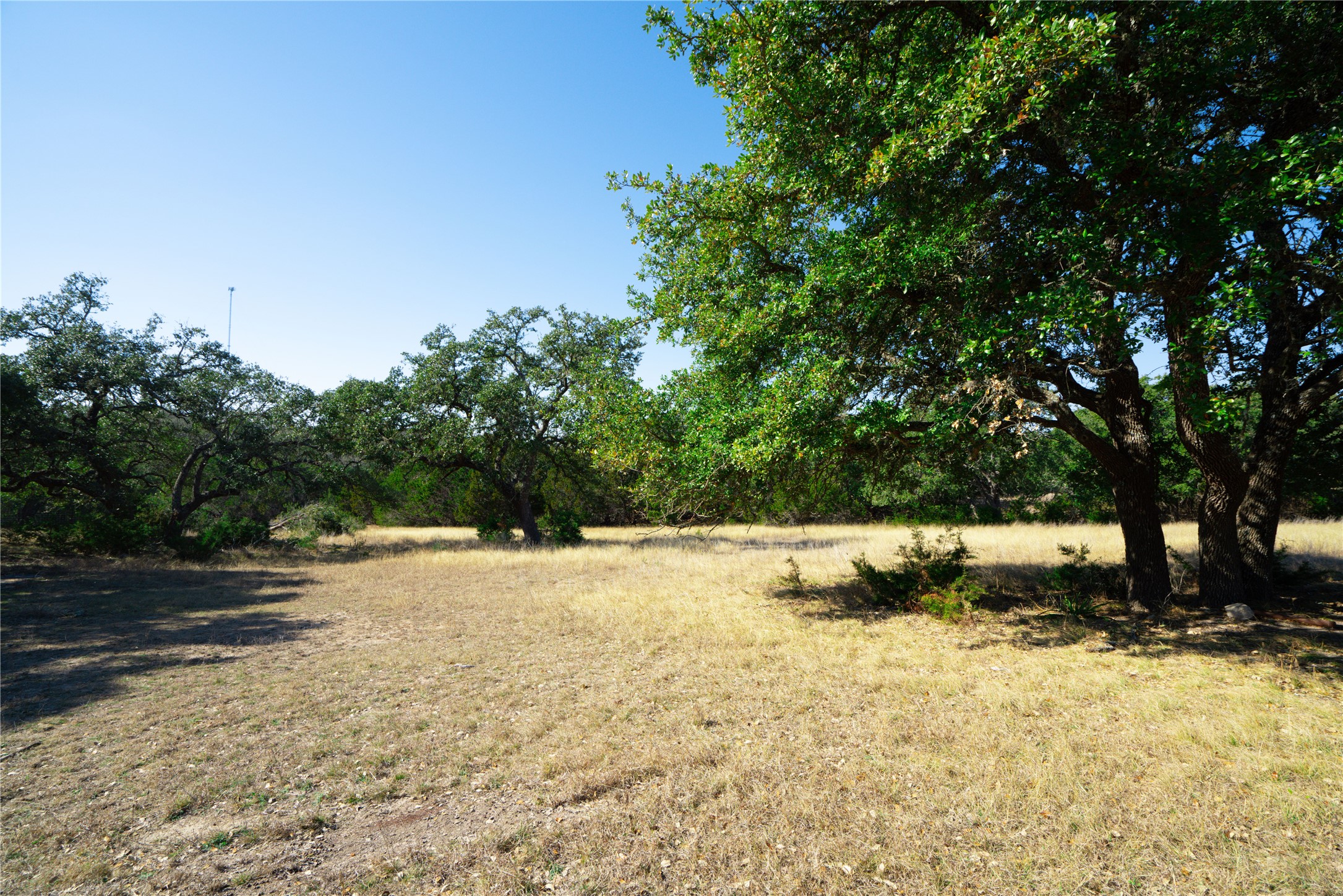 101 Mystic Overlook Road Dripping Springs, TX 78620 - Photo 9 of 27