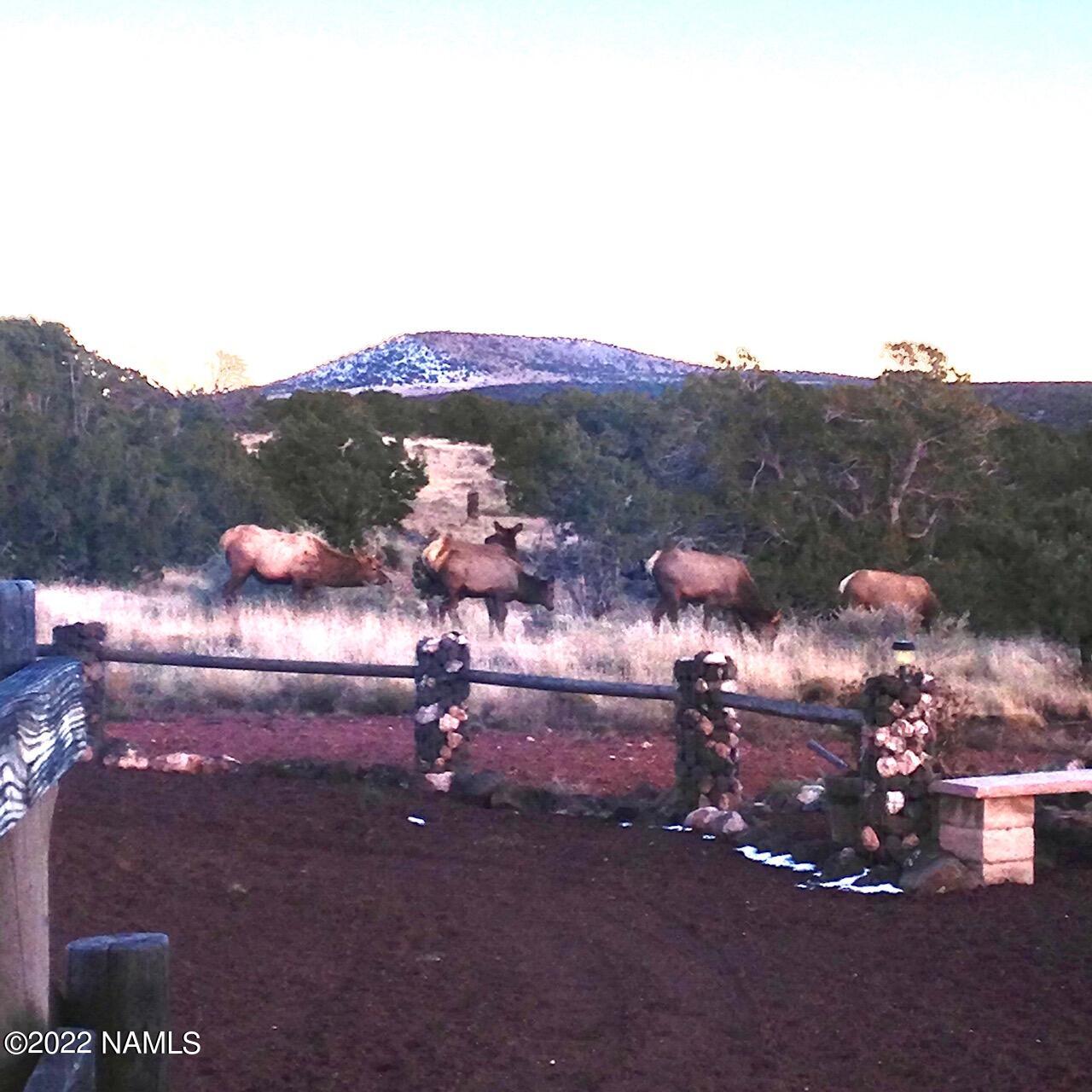 7329 South Rim Ranch Road Williams, AZ 86046 - Photo 52 of 59 IMG_0045