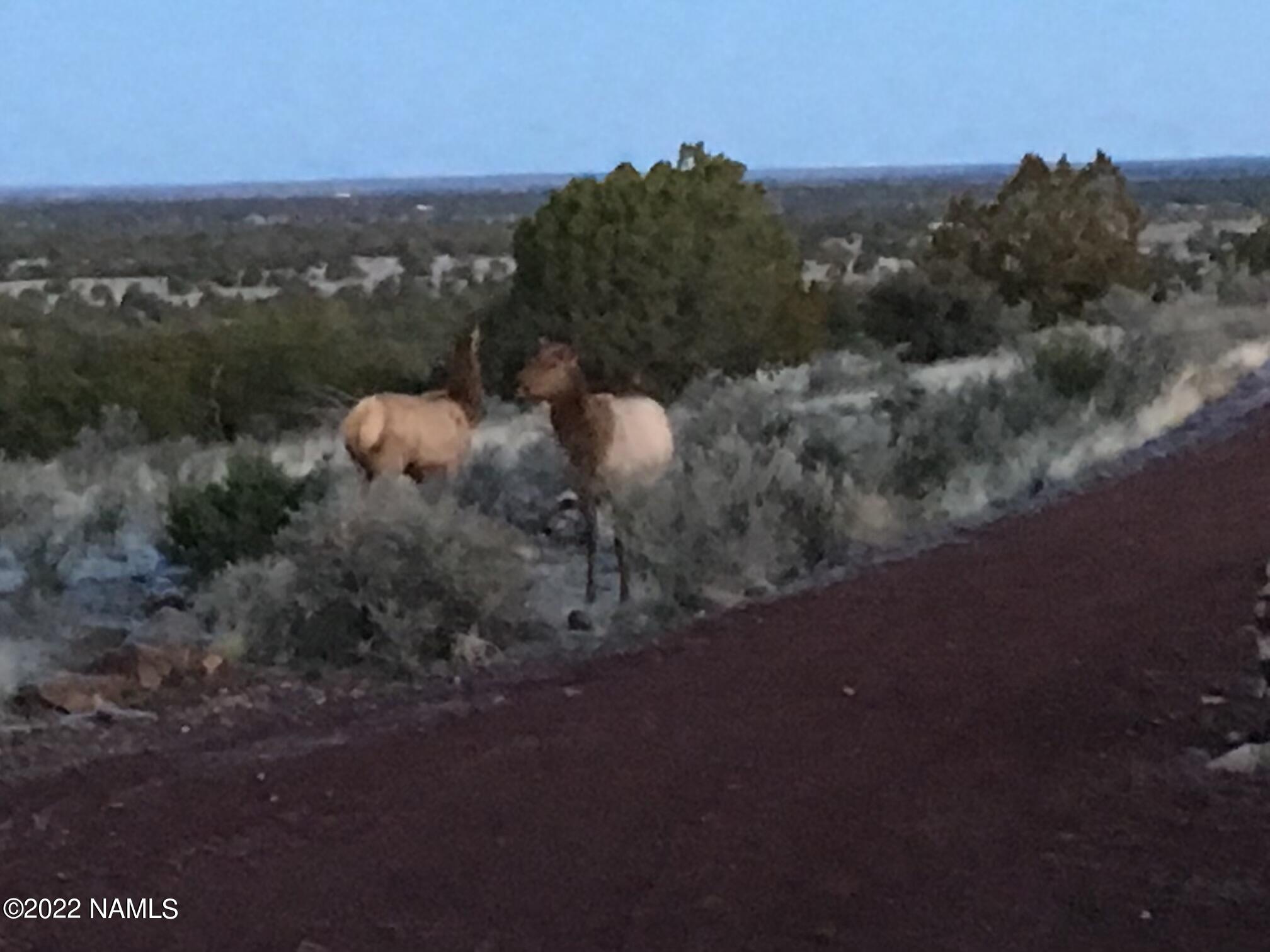7329 South Rim Ranch Road Williams, AZ 86046 - Photo 55 of 59 IMG_0628