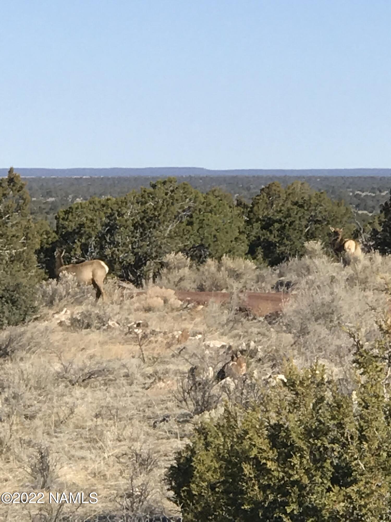 7329 South Rim Ranch Road Williams, AZ 86046 - Photo 58 of 59 IMG_2218