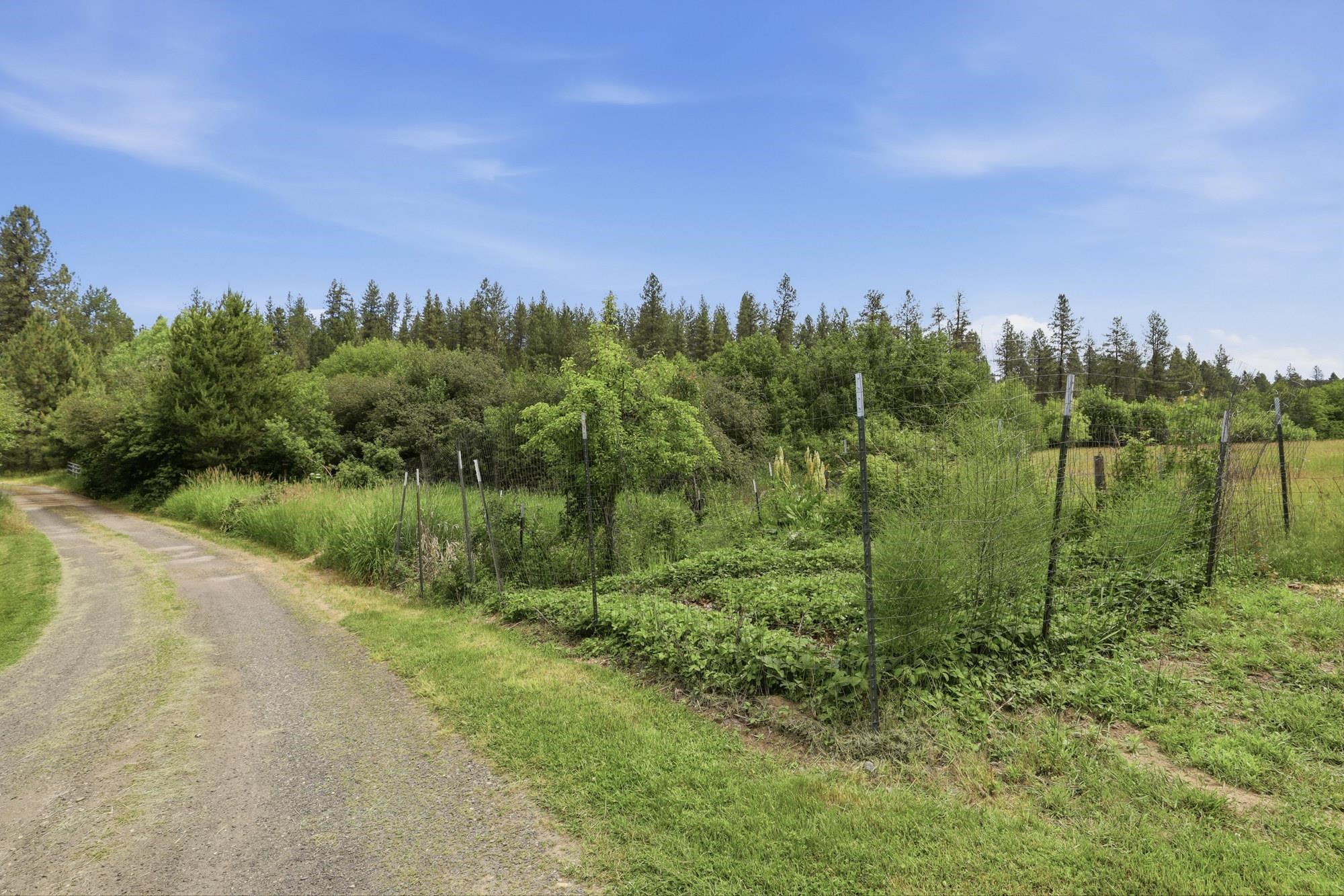 6414 East Chattaroy Road Chattaroy, WA 99003 - Photo 44 of 50 Gallery Image 44