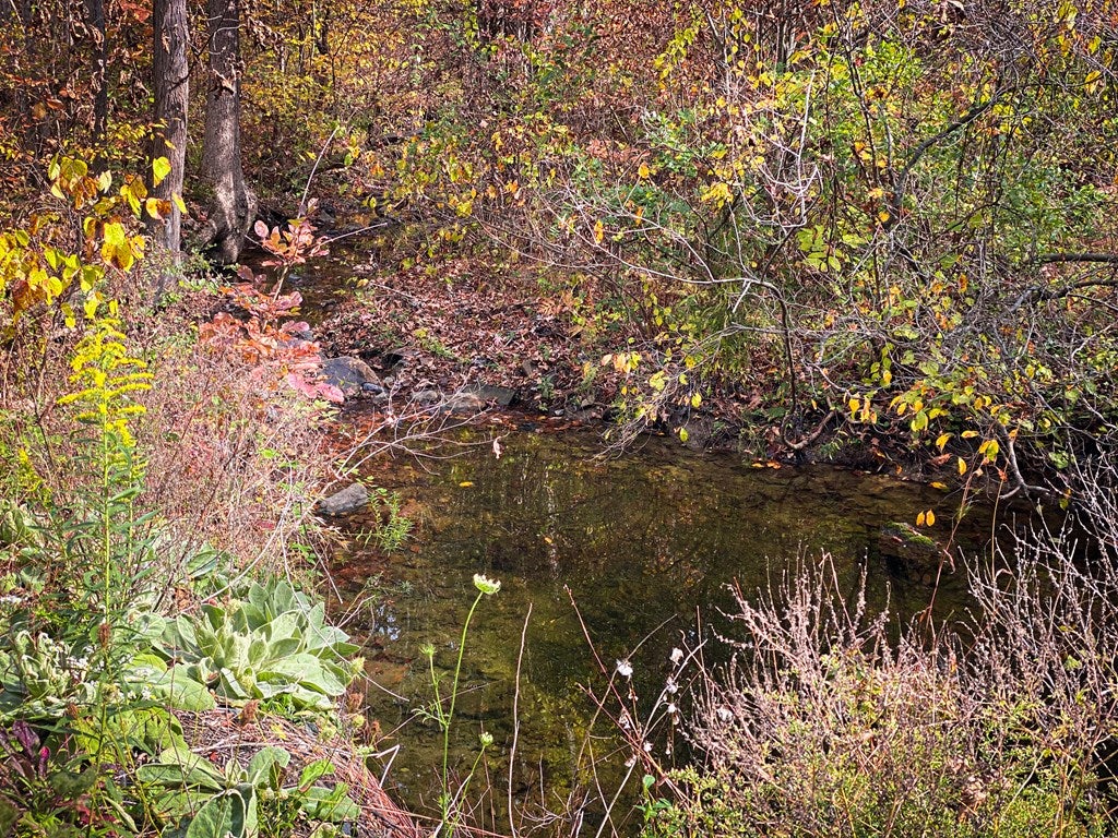 0 Nebo Road Mount Union, PA 17260 - Photo 12 of 13 Gallery Image 12