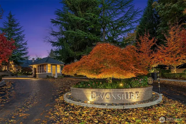 a view of a park that has large trees