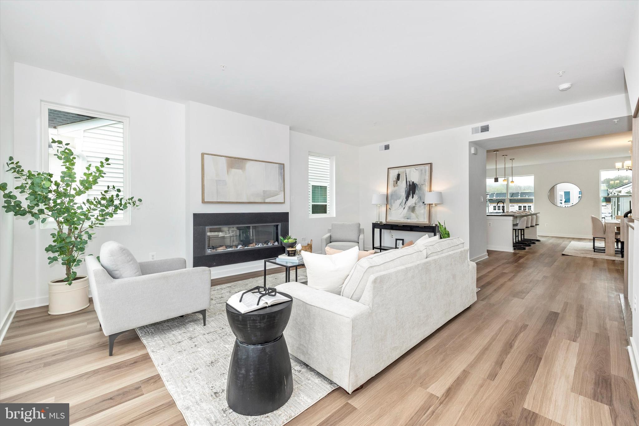 709 B Iron Frg Road Frederick, MD 21702 - Photo 15 of 32 a living room with furniture a fireplace and a potted plant