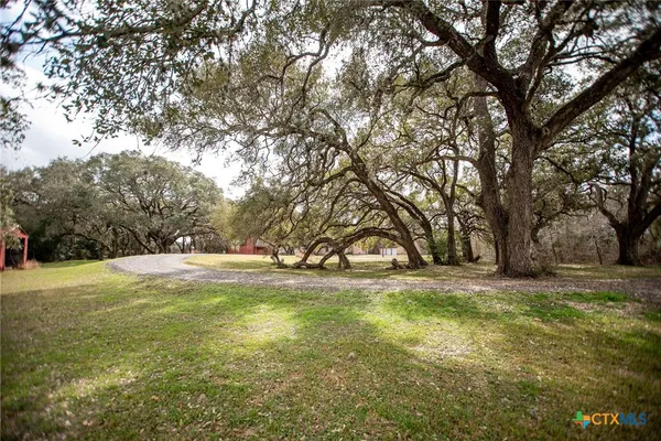a view of a yard with a tree