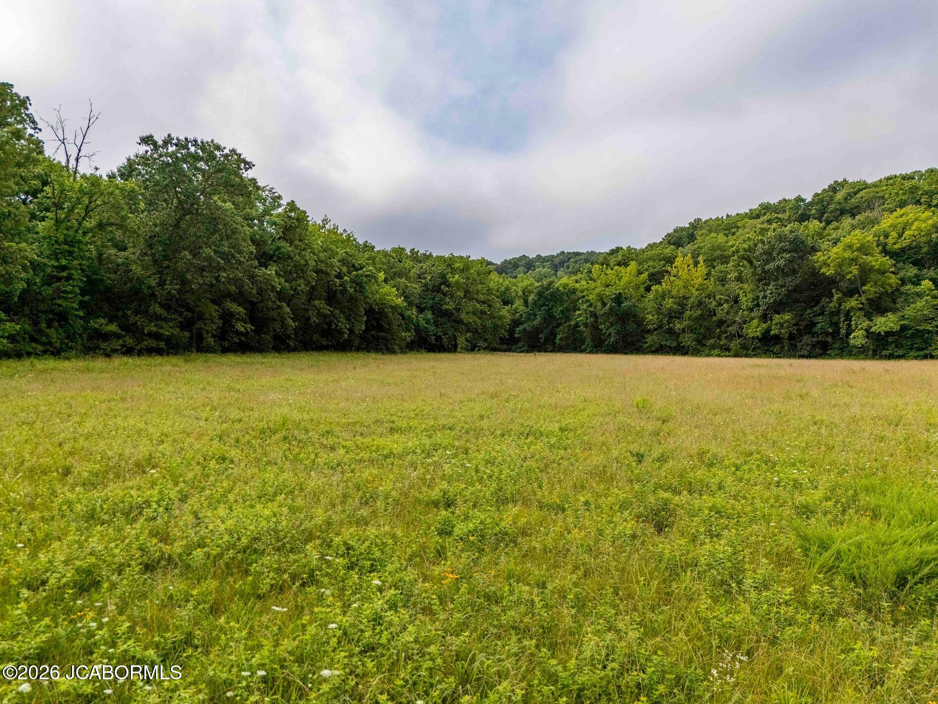 Tbd Talley Road Hartsburg, MO 65039 - Photo 41 of 106