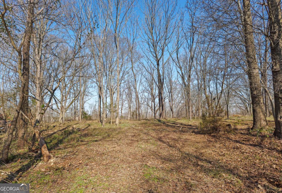 0 Winford Smith Road, Unit 1 Athens, GA 30607 - Photo 5 of 14