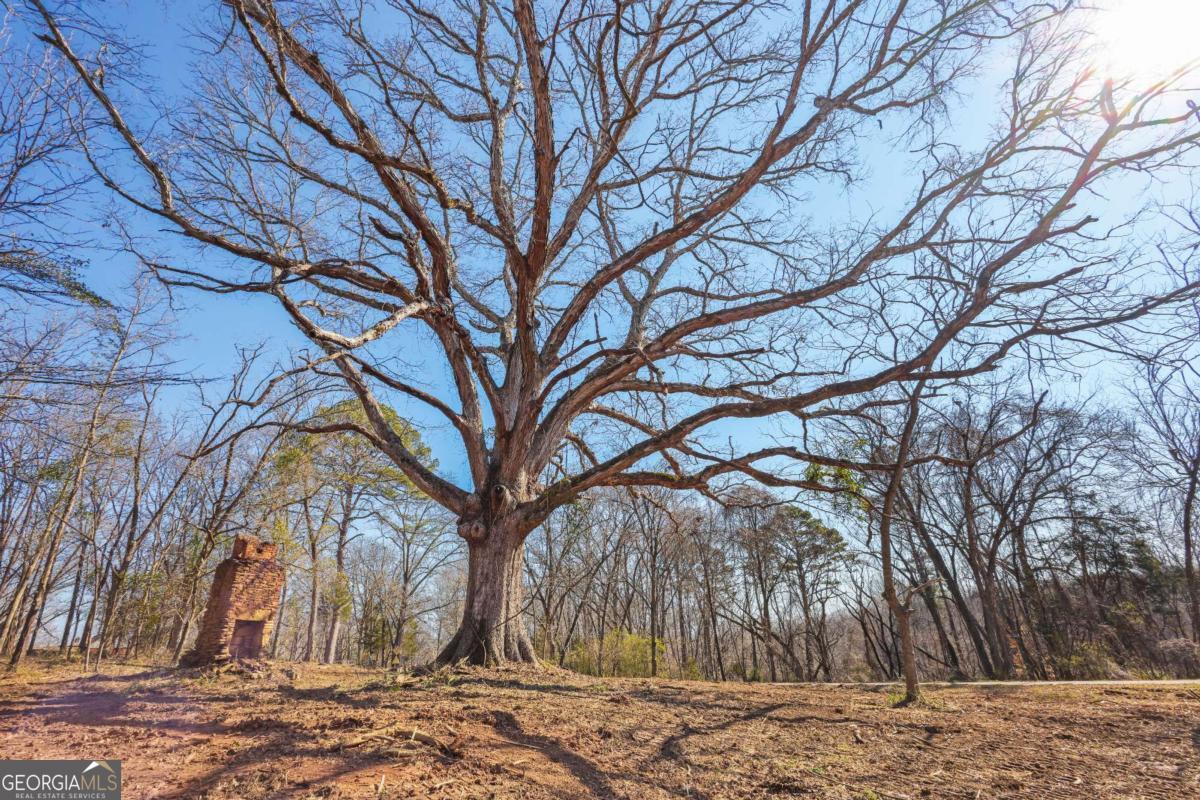 0 Winford Smith Road, Unit 1 Athens, GA 30607 - Photo 9 of 14